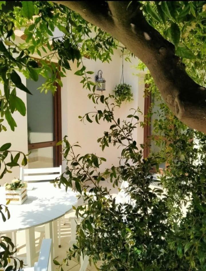 Casa Vacanza Il Mandarino Viagrande Exterior photo